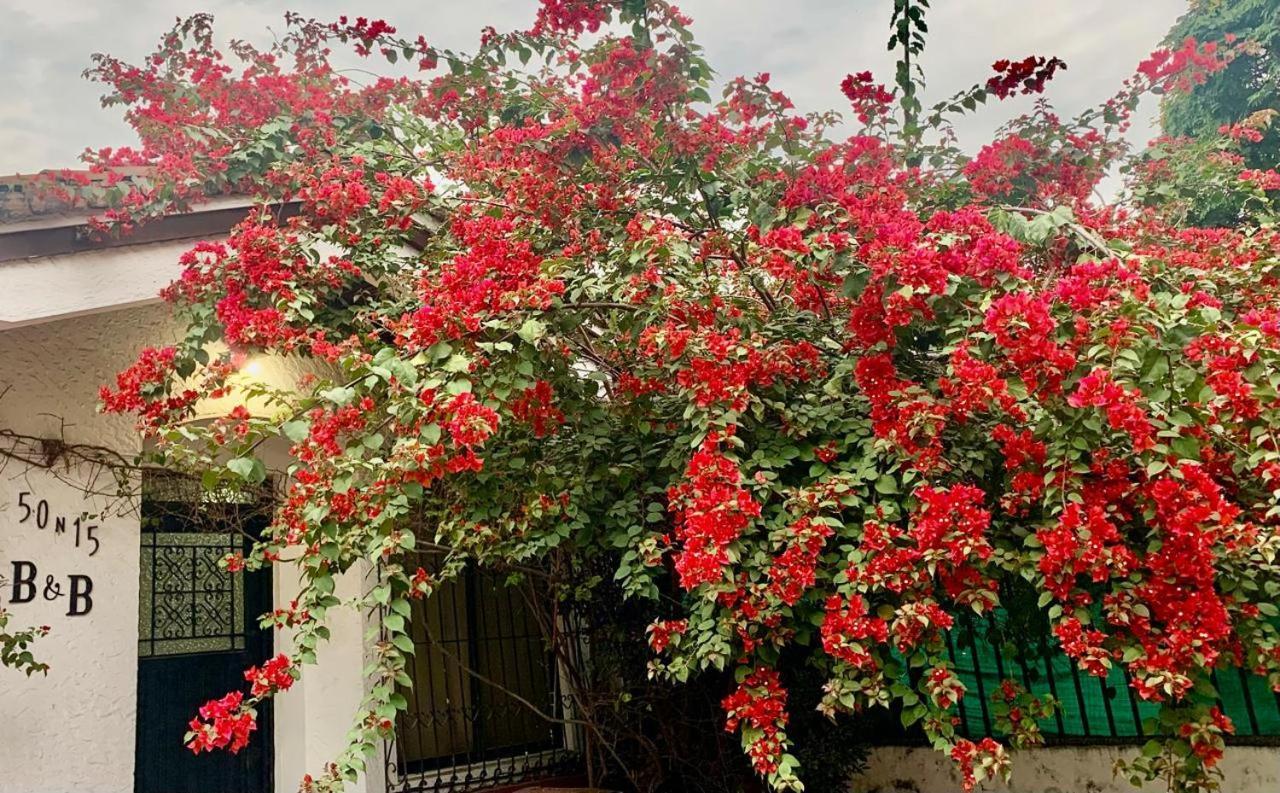 50N15 B&B Cali Kültér fotó
